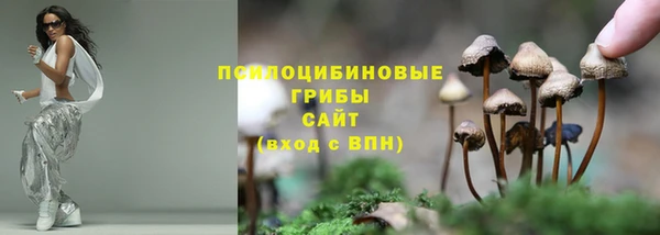 а пвп мука Снежногорск