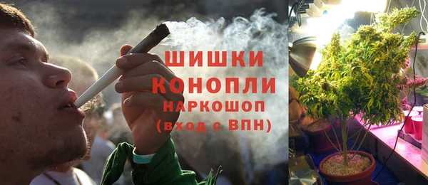 индика Алексин