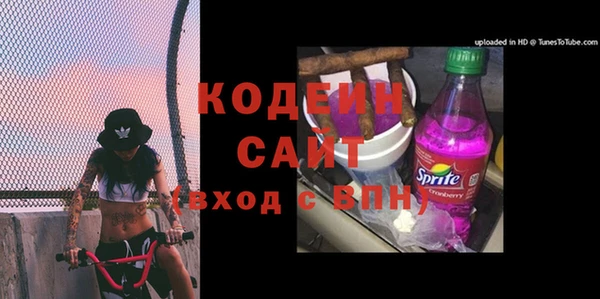 крисы Слюдянка