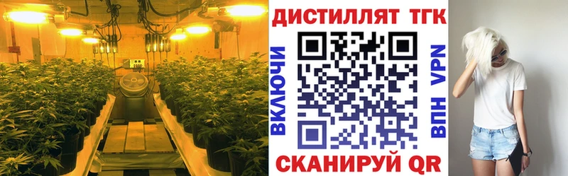 Купить Бузулук Дистиллят ТГК THC oil